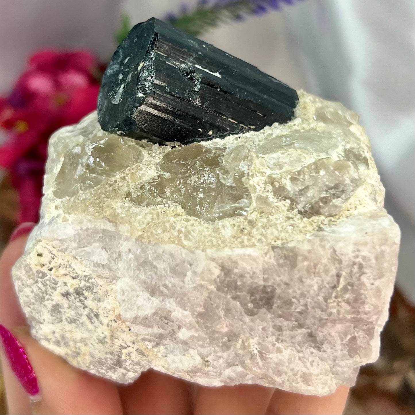 Black Tourmaline in Quartz Specimen Raw Crystal Specimen Australian Seller