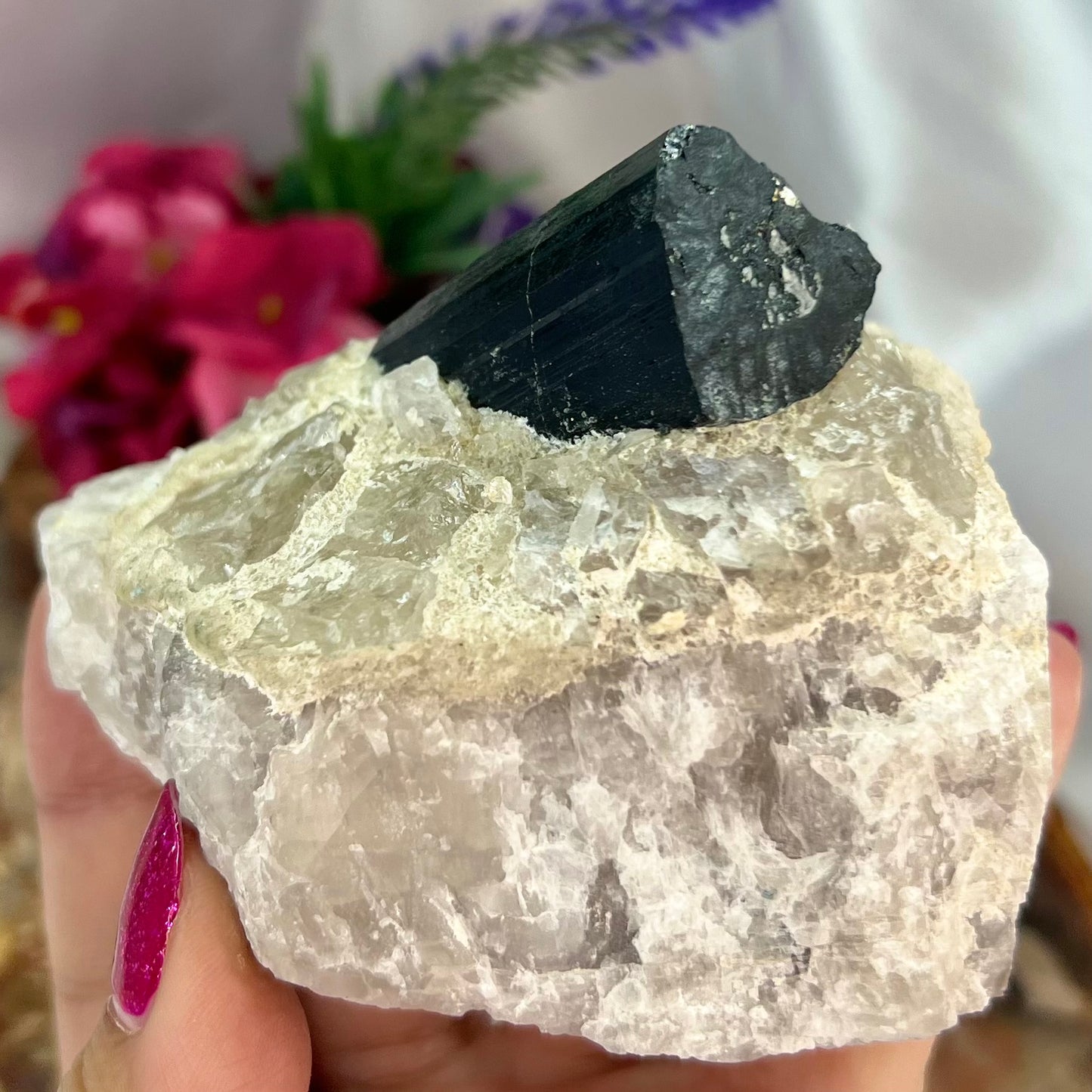 Black Tourmaline in Quartz Specimen Raw Crystal Specimen Australian Seller