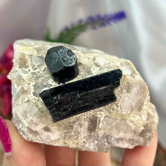 Black Tourmaline in Quartz Specimen Raw Crystal Specimen Australian Seller