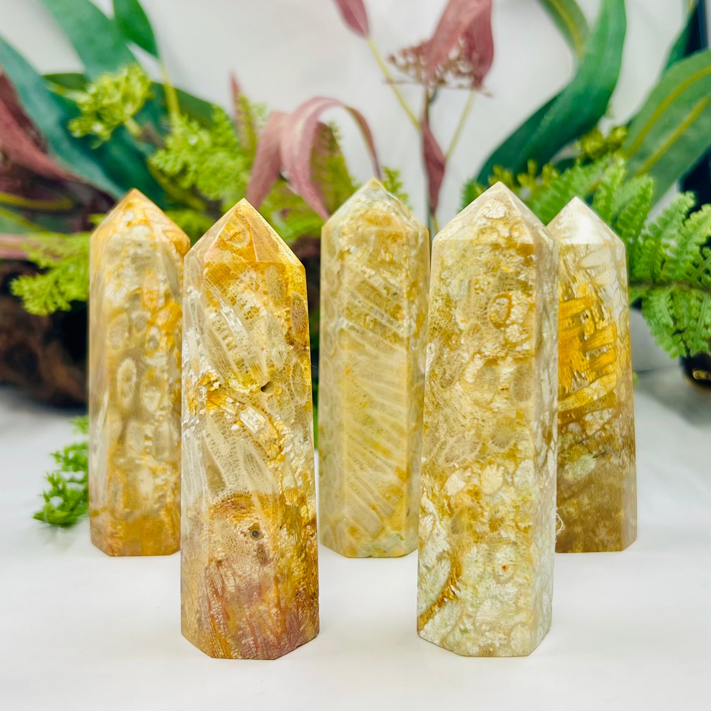 Fossil Coral Jasper Points Towers Crystal Generators