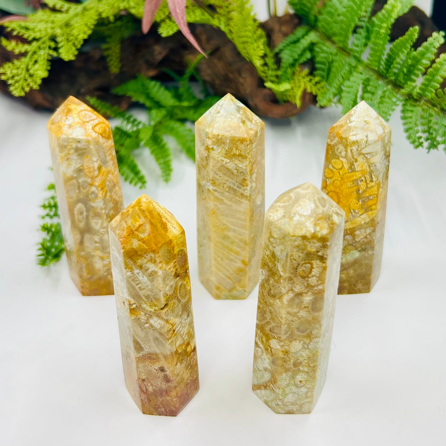 Fossil Coral Jasper Points Towers Crystal Generators