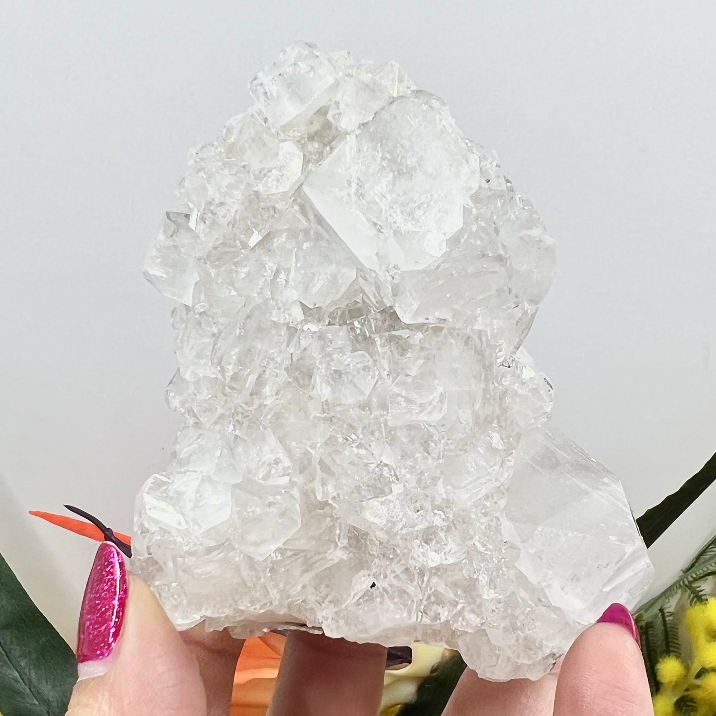 Apophyllite Cluster Natural Crystal Australian Seller