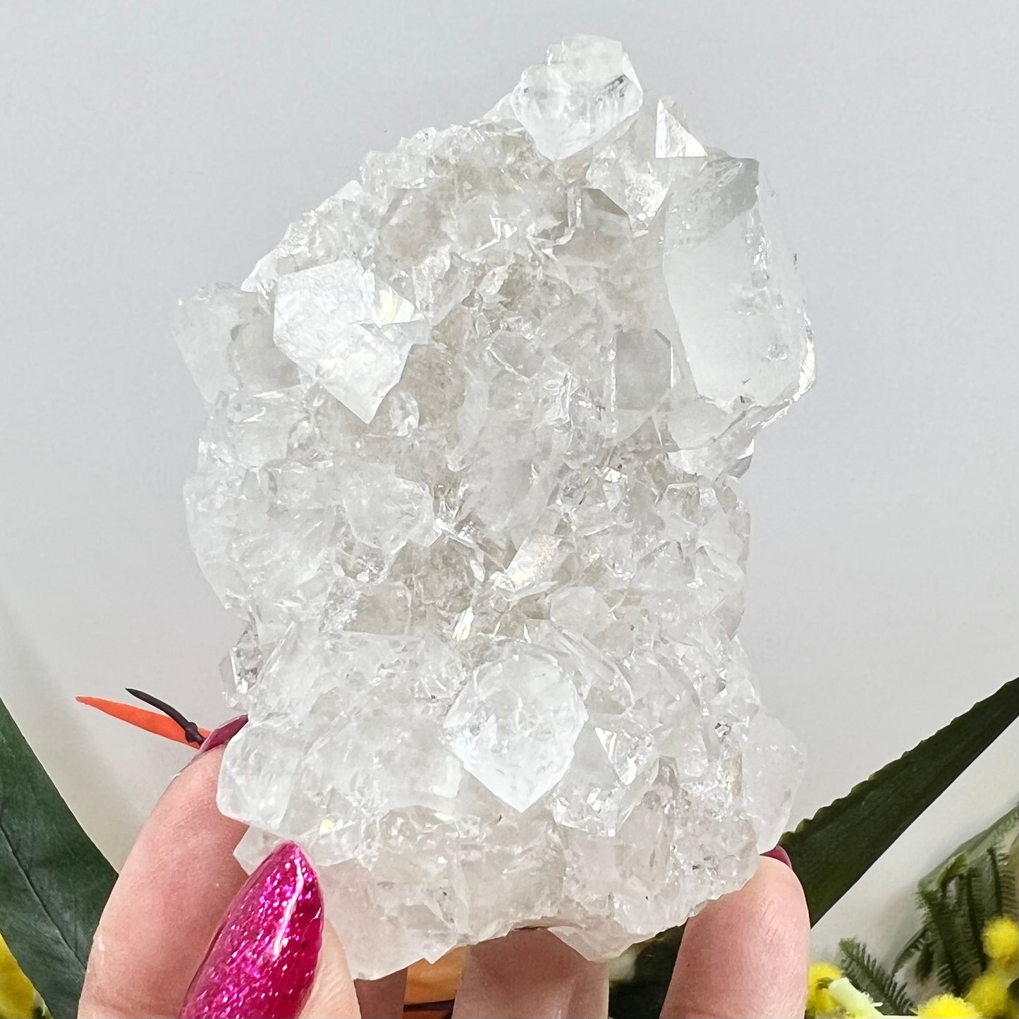 Apophyllite Cluster Natural Crystal Australian Seller