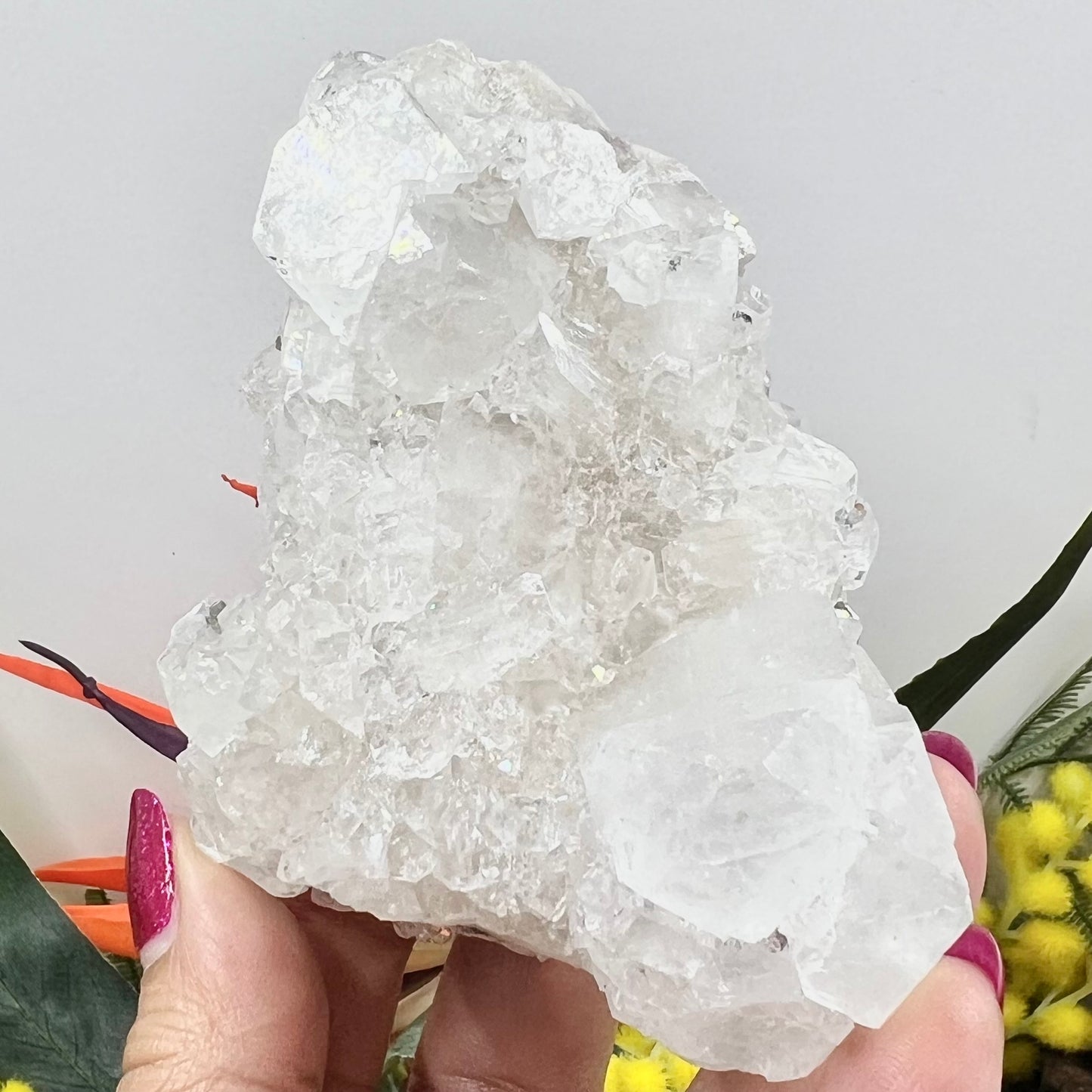 Apophyllite Cluster Natural Crystal Australian Seller