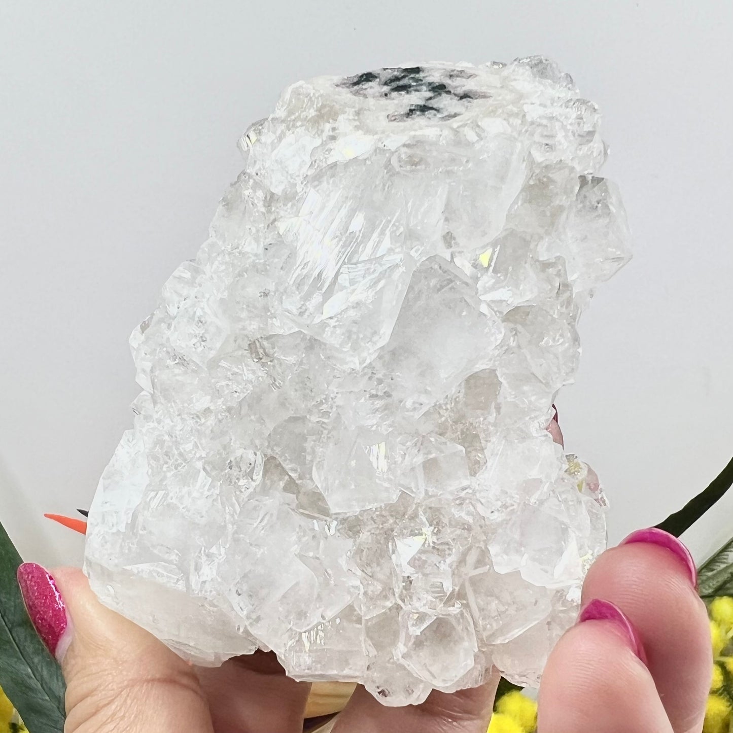 Apophyllite Cluster Natural Crystal Australian Seller