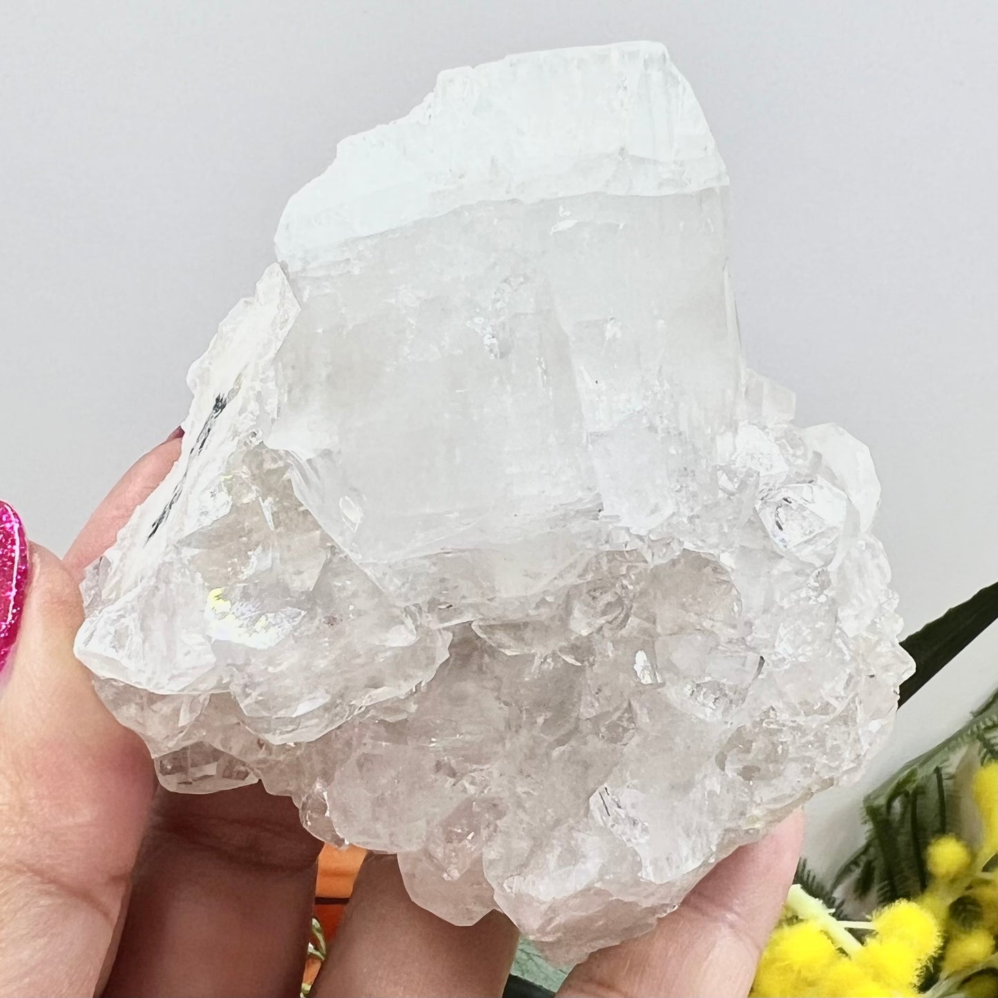 Apophyllite Cluster Natural Crystal Australian Seller